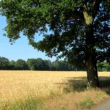 1706F 39 Gronau-Bielefeld